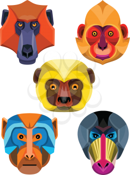 Flat icon mascot style illustration of heads of Old World monkeys like the baboon,  white-headed, golden-headed or Cat Ba langur,  diademed sifaka or diademed simpona lemur , rhesus macaque and the mandrill or drill viewed from front  on isolated background in retro style.