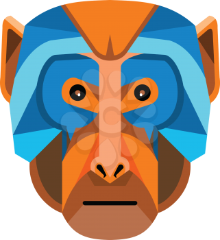 Flat icon illustration of mascot head of a rhesus macaque, a species of Old World monkey viewed from front on isolated background in retro style.