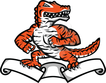 Mascot icon illustration of a ferocious reptilian alligator, gator or crocodile with Bengal tiger color and stripes in fighting stance on top of ribbon or scroll on isolated background in retro style.