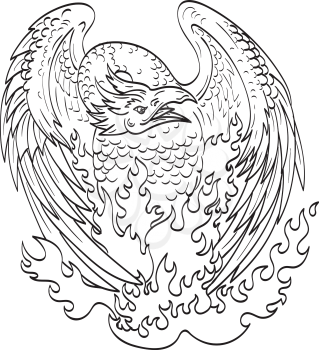 Line art drawing illustration of a phoenix, a mythological bird that cyclically regenerates or is otherwise born again, on fire viewed from front done in monoline tattoo style black and white.