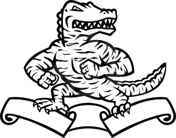 Mascot illustration of a ferocious reptilian alligator, gator or crocodile in tiger stripes standing in fighting stance on top of ribbon or scroll on isolated background in retro black and white style.
