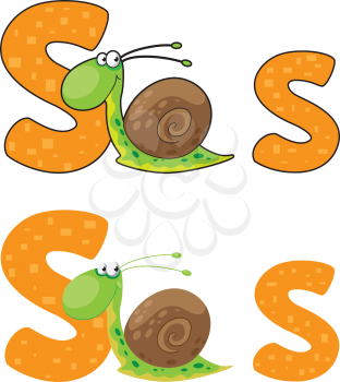 illustration of a letter S snail