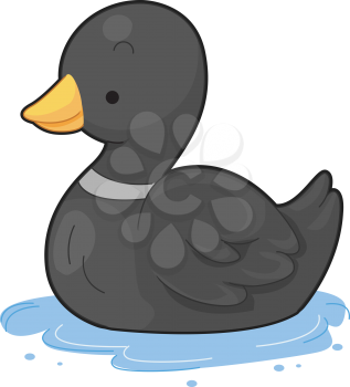 Royalty Free Clipart Image of a Floating Black Duck