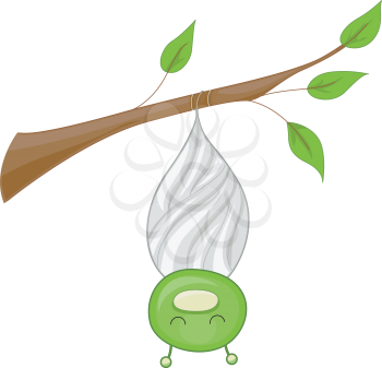 Royalty Free Clipart Image of a Cocoon With an Insect
