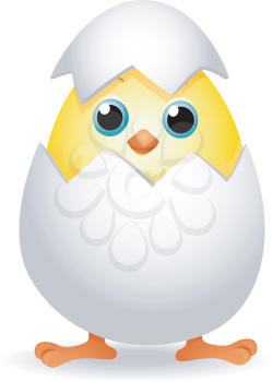 Royalty Free Clipart Image of a Hatching Chick