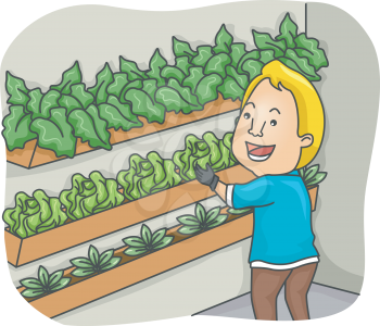 Illustration of a Man Checking the Plants on His Plant Box