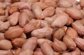 Royalty Free Photo of a Peanut Background