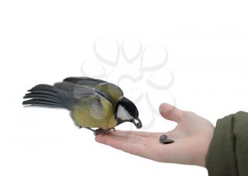 Royalty Free Photo of a Titmouse Eating a Sunflower Seed Out of a Hand