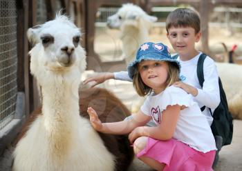 Royalty Free Photo of a Boy and Girl Petting a Young Llama