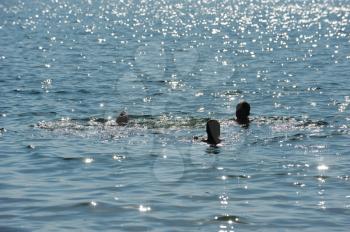 Royalty Free Photo of People Swimming in Lake Kinneret