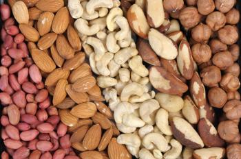 Royalty Free Photo of Mixed Nuts in Rows