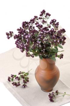 Royalty Free Photo of Flowers of Aromatic and Medicinal Plants in a Vase