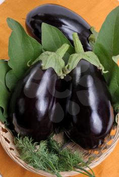 Royalty Free Photo of Two Eggplants