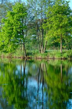 Royalty Free Photo of a River With Trees Reflected in It