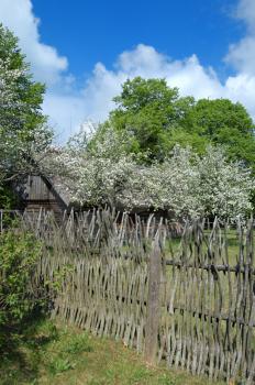 Royalty Free Photo of a Building By a Fence and Flowering Apple Trees