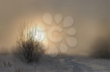 Royalty Free Photo of a Foggy Winter Morning