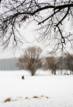 Royalty Free Photo of a Person Sitting on a Snowy Landscape