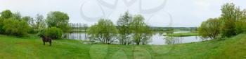 Royalty Free Photo of aRoyalty Free Photo of a Panorama of a Horse in a Field by a River