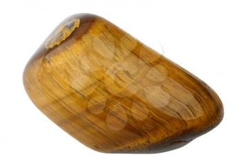 Tiger's eye, isolated on a white background