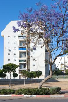 House and flowering trees in the city of Ashkelon, Israel