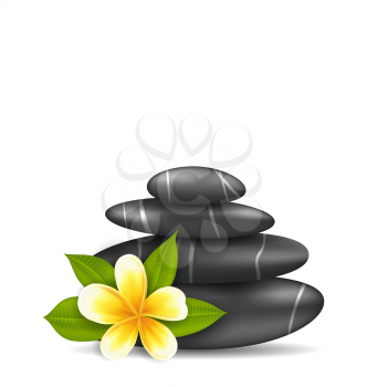 Illustration Frangipani Flower (plumeria) and Pyramid Zen Spa Stones, Isolated on White Background - Vector
