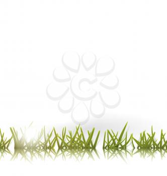 Green grass with reflection and sun isolated on white background - vector