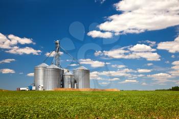 Farm tin silos storage towers in greenw crops landscape view