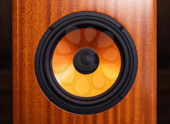 Modern Audio Subwoofer Orange Speaker built in exotic wooden cabinet Front