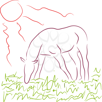 Royalty Free Clipart Image of a Horse in the Pasture