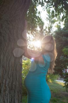 Beautiful pregnant woman relaxing on a park sunlite effect