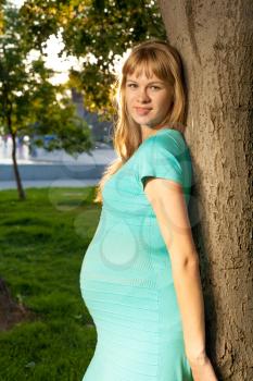 Beautiful pregnant woman relaxing on a park. Beautiful pregnant woman in sunny park