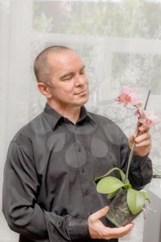 Handsome caucasian 40s man smiling portrait on grey background with black shirt holding orchid in pot and looking at this plant.