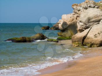 seashore with rocks