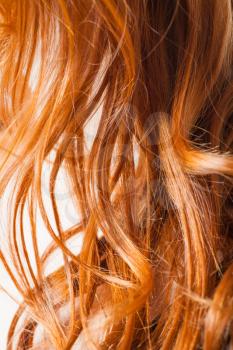 red hair macro or very closeup view