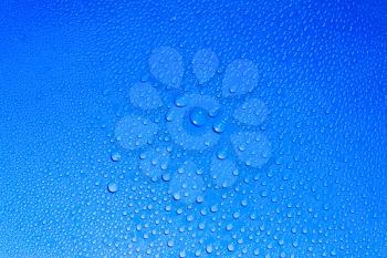 Drops of the fresh water on light blue background