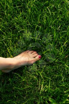Bare feet on green grass.