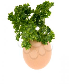 Royalty Free Photo of Herbs