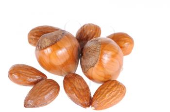 Royalty Free Photo of Hazelnuts and Almonds