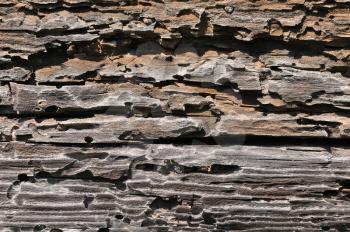 Royalty Free Photo of Textured Wood