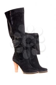 black female boots isolated on white background