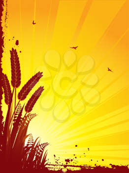 Royalty Free Clipart Image of a Corn Background