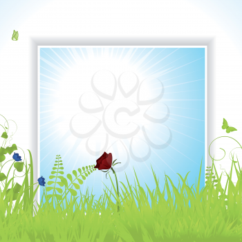 Spring Background Panel with Flowers, Grasses and Butterflies