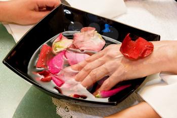 Royalty Free Photo of a Woman's Hands Preparing for a Manicure With a Bowl of Petals and Water