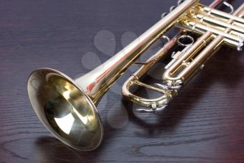 Royalty Free Photo of a Trumpet