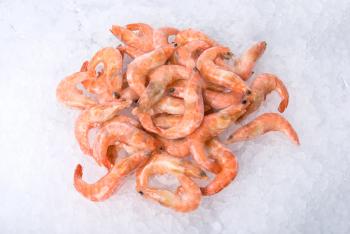 Royalty Free Photo of King Shrimp on Ice