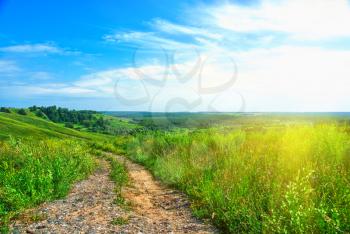 Royalty Free Photo of a Summer Landscape