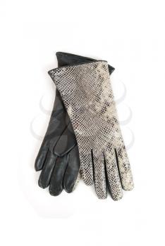 reptile modern leather gloves isolated on a white
