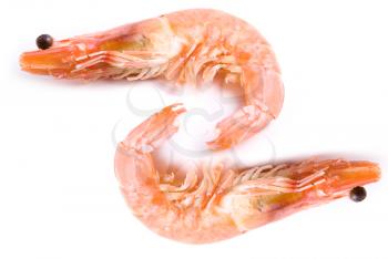 Two Shrimps isolated on white background