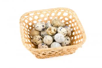  quail eggs in the basket on white
