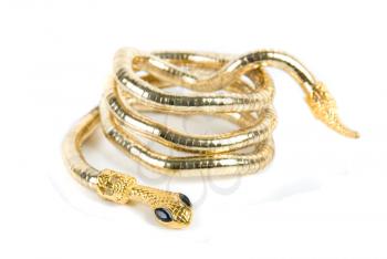 golden snake bracelet isolated on white background